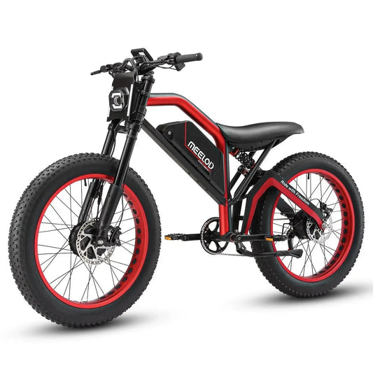 XT600DL Dual 1200W Peak Power Motor
