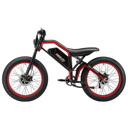 XT600DL Dual 1200W Peak Power Motor