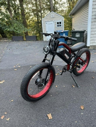 XT600DL Dual 1200W Peak Power Motor