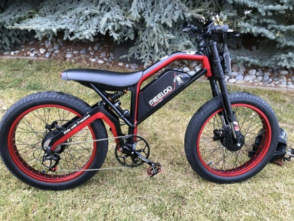 XT600DL Dual 1200W Peak Power Motor