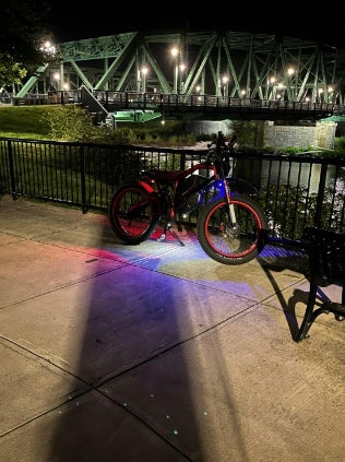 XT600DL Dual 1200W Peak Power Motor